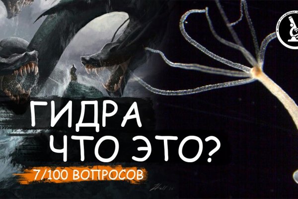 Как пополнять кракен тор