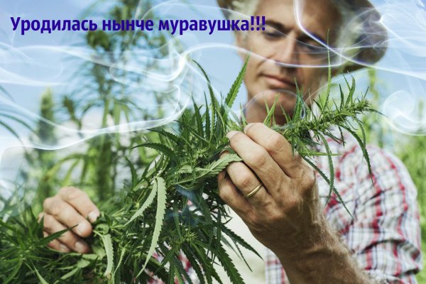 Зеркало на кракен